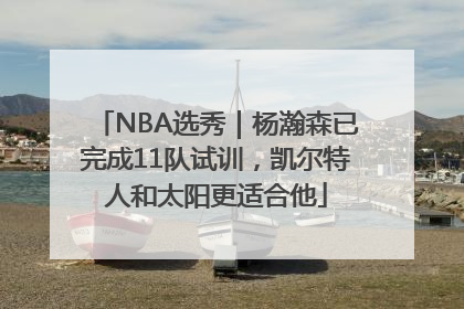 NBA选秀｜杨瀚森已完成11队试训，凯尔特人和太阳更适合他